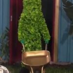 Da ‘Placa Planta’...