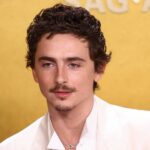 Timothée Chalamet Surpreende...