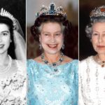 Esplendor Real Revelado:...