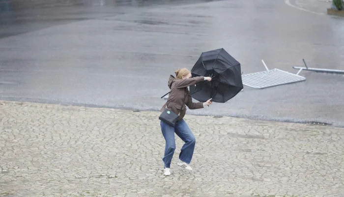 img_1500x1000uu2025-03-21-09-14-00-2199525