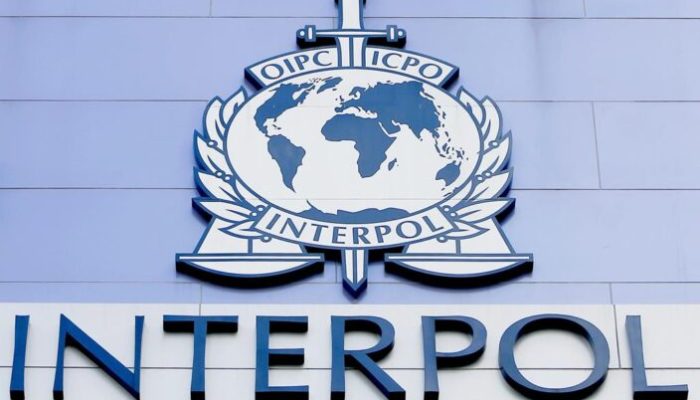 interpol-704x450